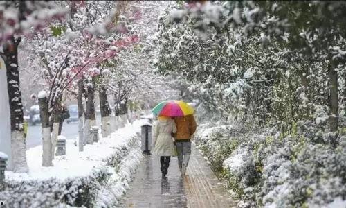 昆明爆料下雪事件最新,市民欢声笑语迎瑞雪